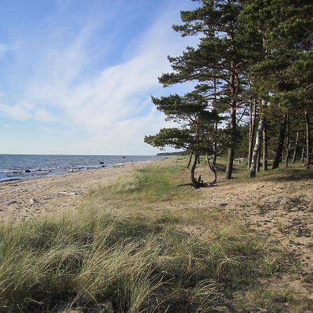 Tahkuna Forest House Kõrgessaare Buitenkant foto