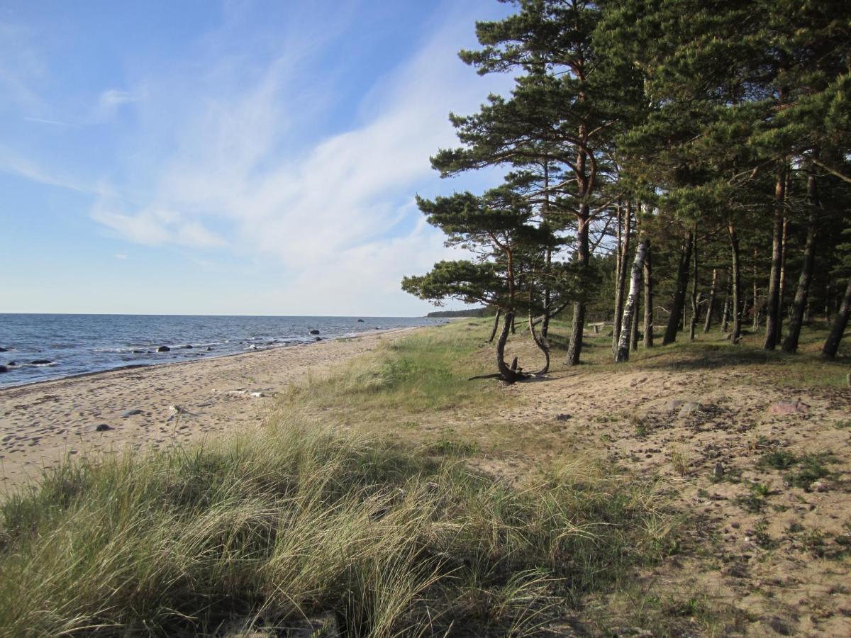 Tahkuna Forest House Kõrgessaare Buitenkant foto